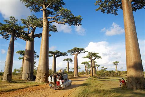 Madagascar travel. Things To Know About Madagascar travel. 